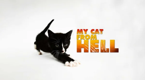 Hell's Cat : mon chat est un cauchemar