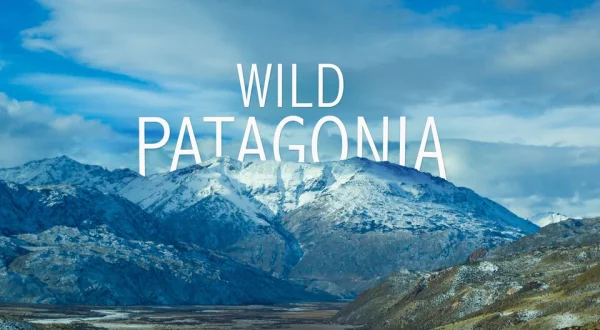 Wild Patagonia