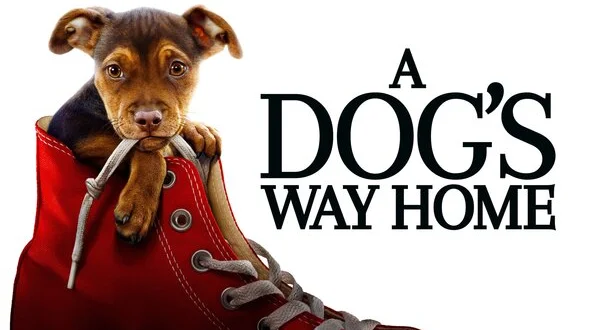 A Dog's Way Home