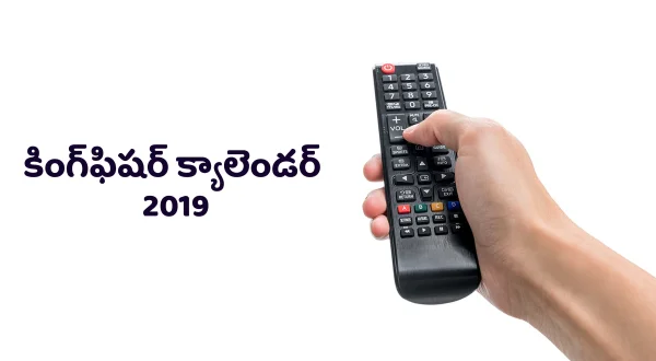 కింగ్‌ఫిషర్ క్యాలెండర్ 2019