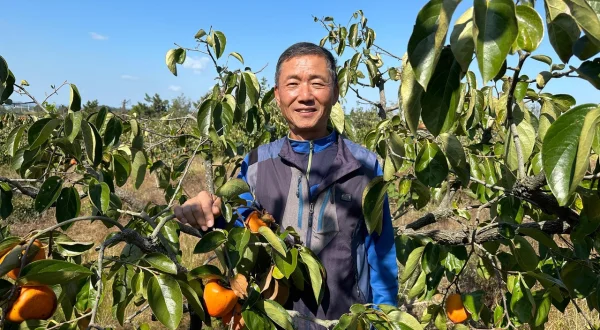 Naturjuwel Südkorea – Sinan und die 1004 Inseln