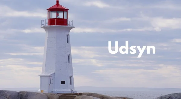 Udsyn