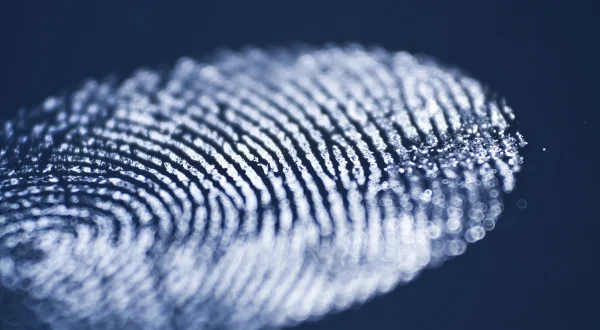 Auf der Spur des Verbrechens – Forensiker im Einsatz