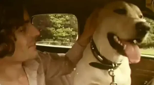 Me & You & A Dog Named Boo! Top 12