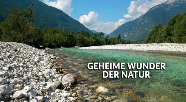 Geheime Wunder der Natur