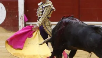 Tendido Cero