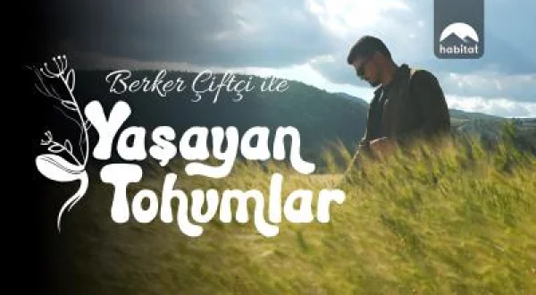 Yaşayan Tohumlar