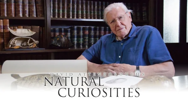 David Attenborough's Natural Curiosities
