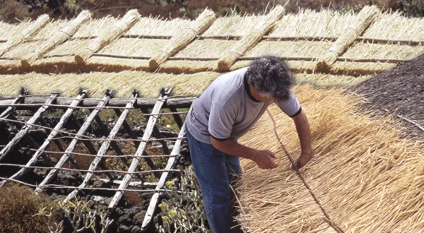 El centeno en la construcción de tejados. Técnica tradicional para cubrir techos con este cereal