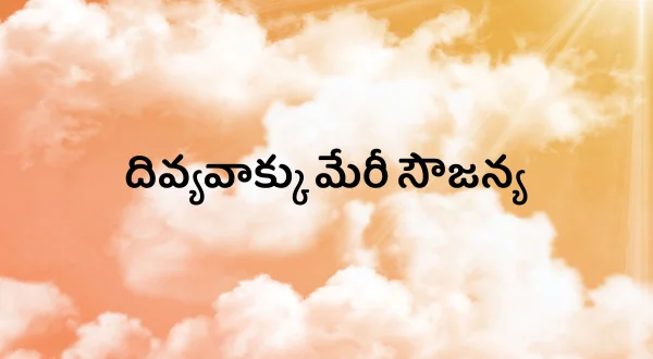దివ్యవాక్కు మేరీ సౌజన్య