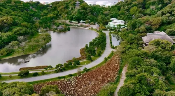 The Garden Way