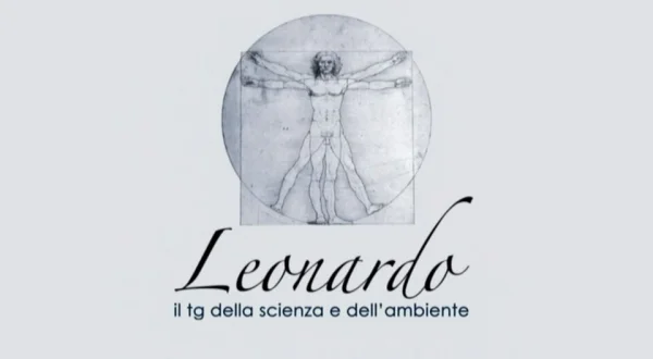 TgR Leonardo