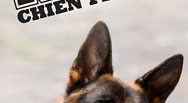 Rex