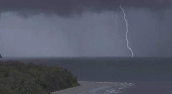 Crocodile: Australia's Greatest Survivor