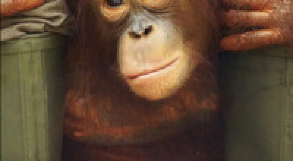 Orangutan Jungle School