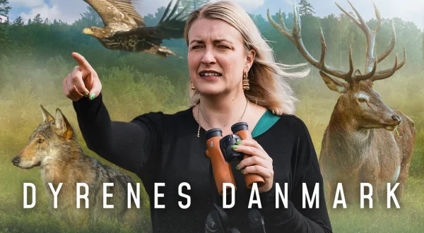 Dyrenes Danmark