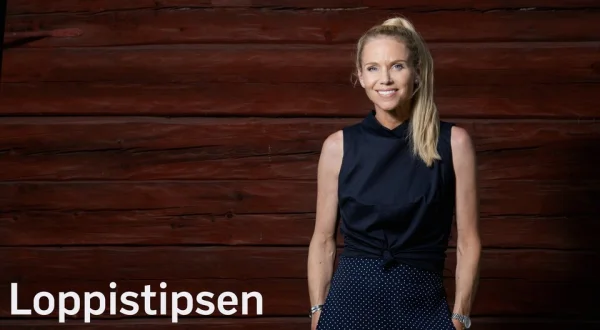 Loppistipsen