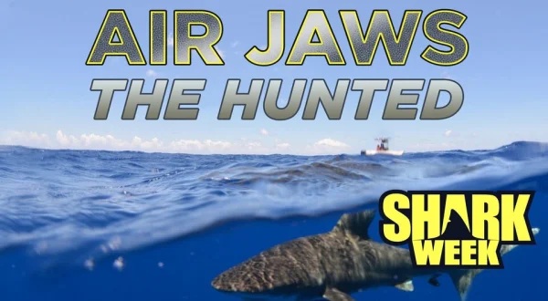 Air Jaws: The Hunted