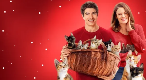 The Nine Kittens of Christmas
