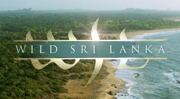 Wild Sri Lanka
