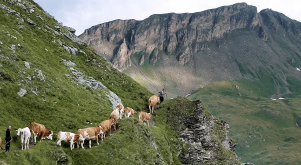 Alpenland