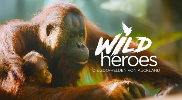 Wild Heroes: Die Zoo-Helden von Auckland