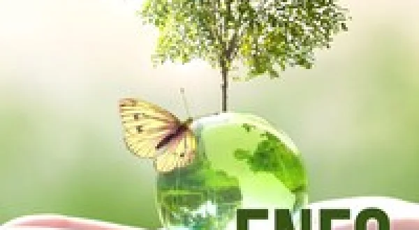 Enfo