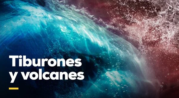 Tiburones y volcanes