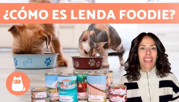 Novedades: consejos y cuidados