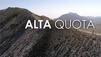 Alta quota