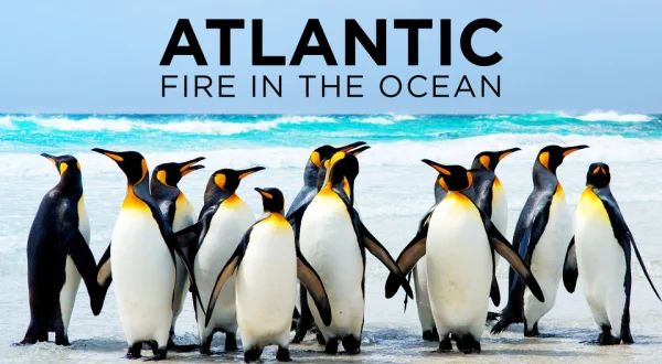 Atlantic: Fire in the Ocean