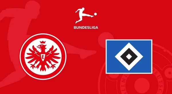 Bundesliga Fodbold: Frankfurt - Hamburger SV