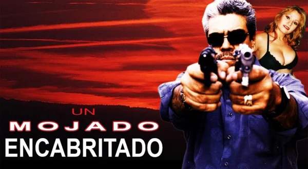Un Mojado Encabritado