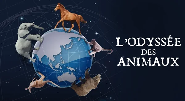 L'odyssée des animaux