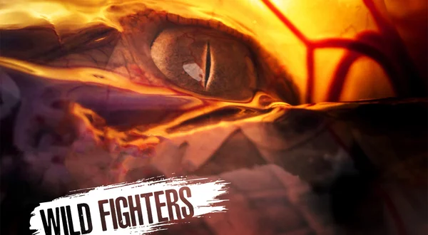 Wild Fighters