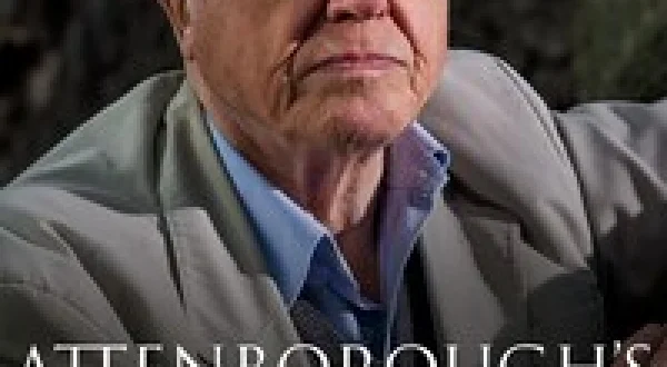 Attenborough's Journey