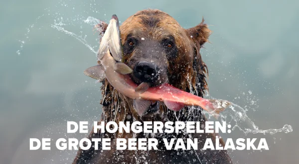 De Hongerspelen: de grote beer van Alaska