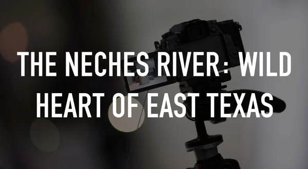 The Neches River: Wild Heart of East Texas