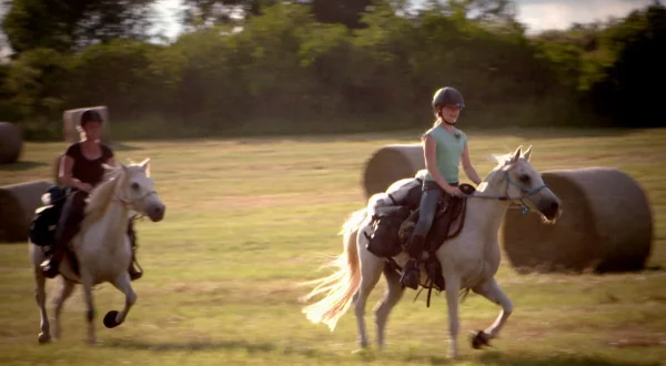 HipHorses – Du und Dein Pferd