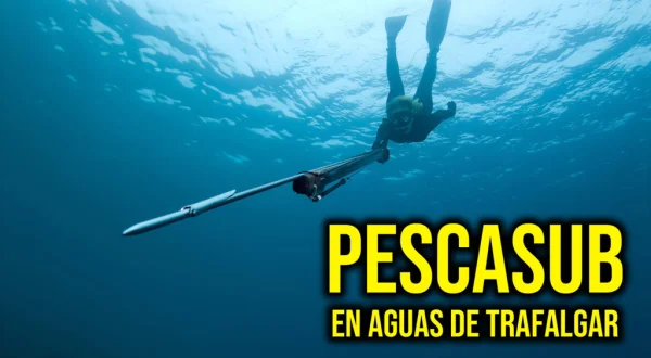 Pescasub en aguas de Trafalgar