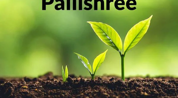 Pallishree