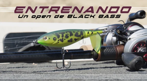 Entrenando un open de blackbass