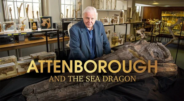 Attenborough og sødragen