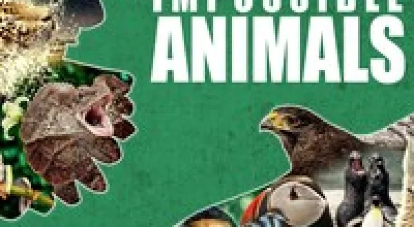 Impossible Animals
