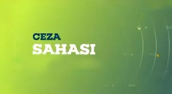 Ceza Sahası