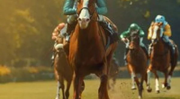 Live: International Raceday
