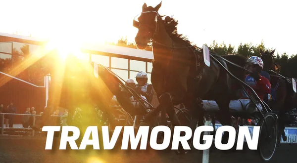 Travmorgon