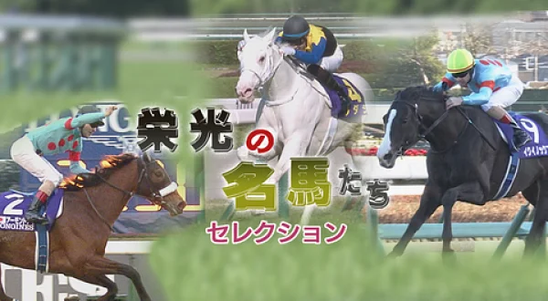 栄光の名馬たちセレクション（ナリタタイシン）