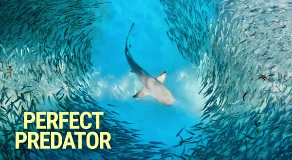 Perfect Predator