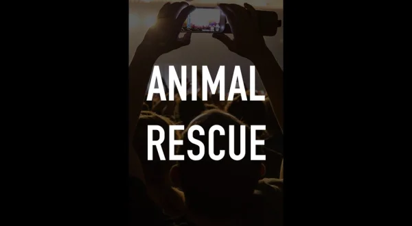 Animal Rescue